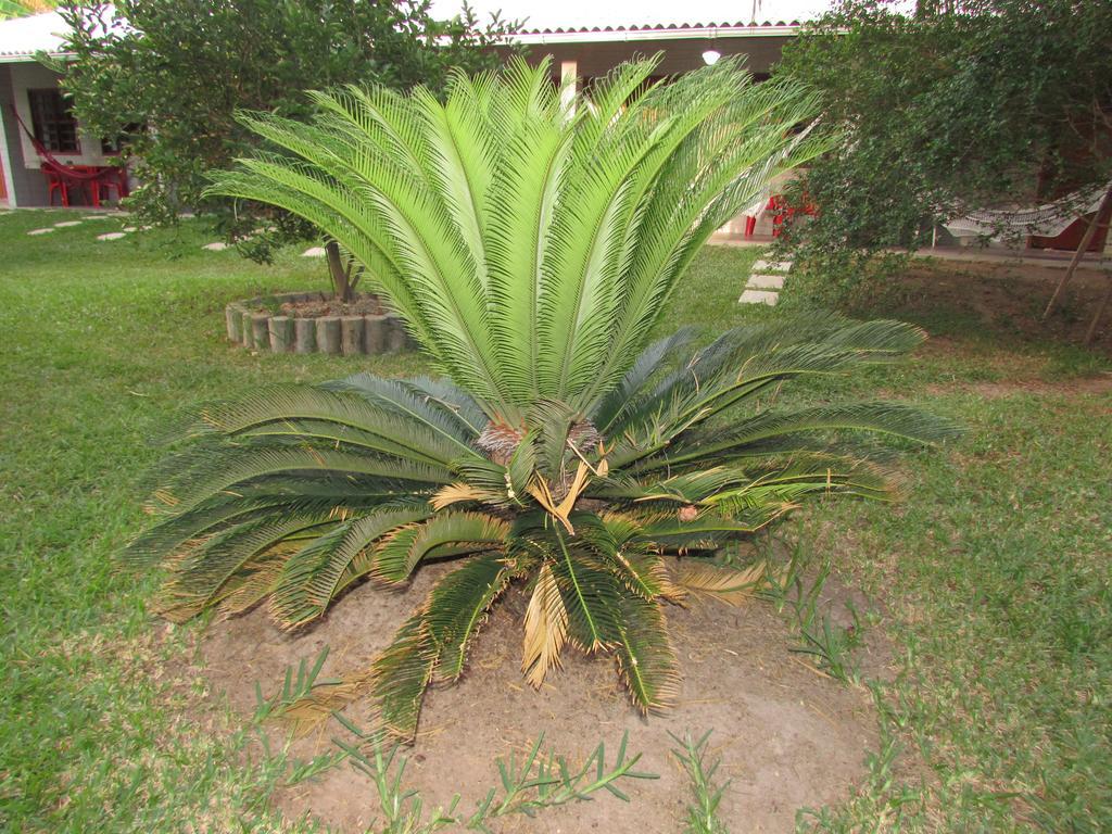 Pousada Ipitanga IV Lauro de Freitas Buitenkant foto