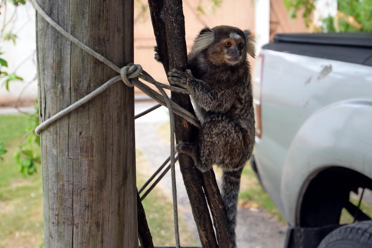 Pousada Ipitanga IV Lauro de Freitas Buitenkant foto